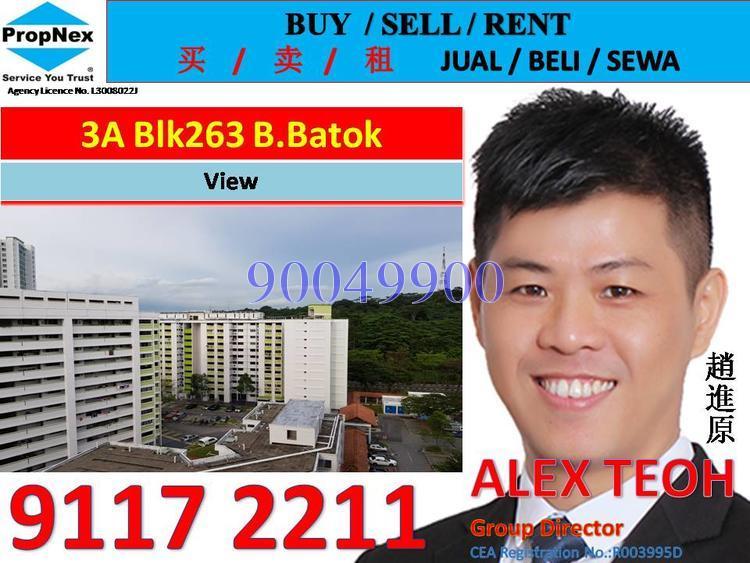 Blk 263 Bukit Batok East Avenue 4 (Bukit Batok), HDB 3 Rooms #156282872